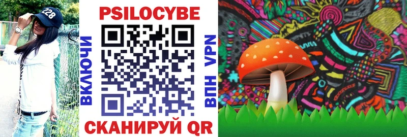 Галлюциногенные грибы MAGIC MUSHROOMS  omg ТОР  Щучье 